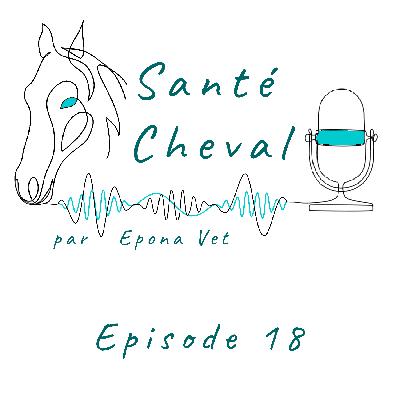 Ep. 18 – La Dermite Estivale Récidivante Equine