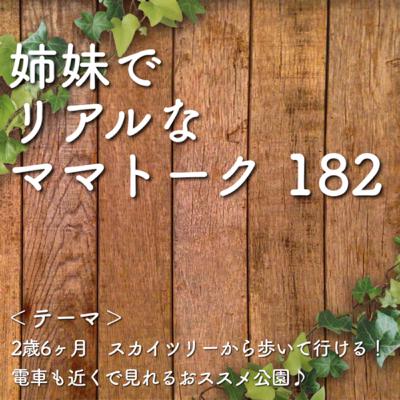 182 2歳6ヶ月　スカイツリーから歩いて行ける！電車も近くで見れるおススメ公園♪