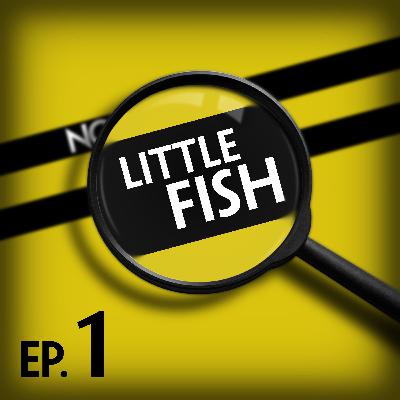 1. Little Fish: Steam Exploded Donkey Bone Powder