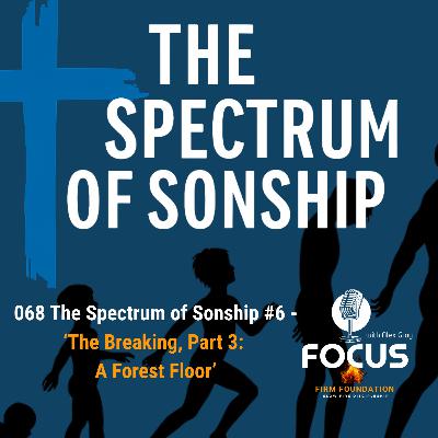 068 The Spectrum of Sonship #6 - ‘The Breaking Part 3: A Forest Floor’