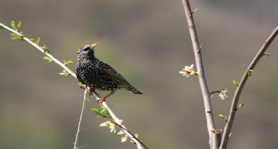 Folge 10: Lasst Kinder fotografieren!