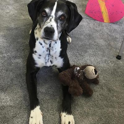 Meine Vorstellung von mir und meinem Podcast Meine Vorstellung von mir und meinem Podcast