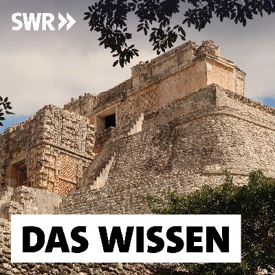 Die letzten Rätsel der Maya