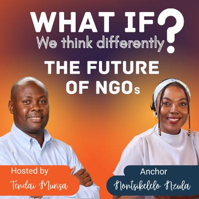 The Future of NGOs - Part 4