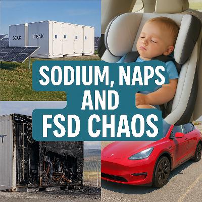 Sodium, Naps, and FSD Chaos Sodium, Naps, and FSD Chaos