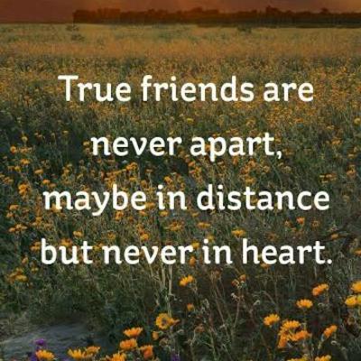 FRIENDSHIP😊
