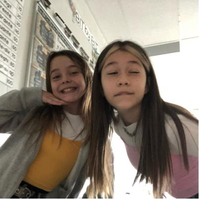 Cat noir cat walking