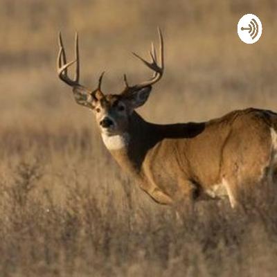 Hunting and how it affects the environment