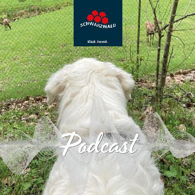 Hunde, Höhen, Heidelbeeren