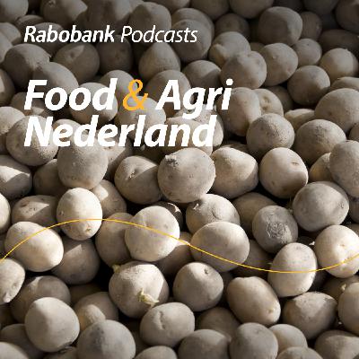De pootaardappel: Hoe staat die ervoor?
