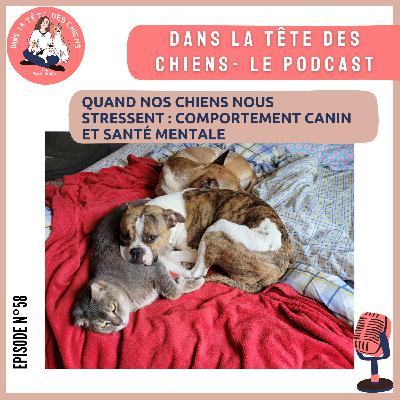 Quand nos chiens nous stressent : comportement canin et santé mentale