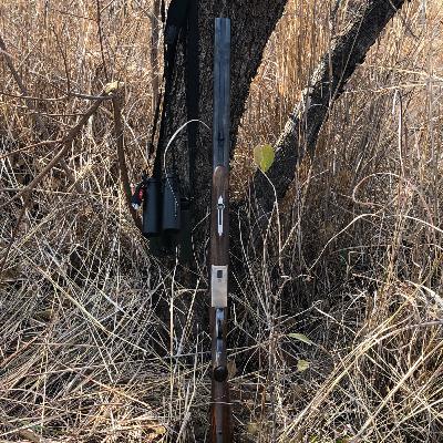 Favorite Guns and the Short List of Wants