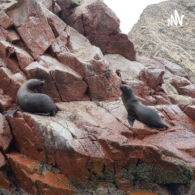 Viajando por Perú