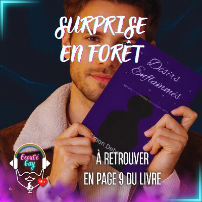 [ LIVRE ] Surprise en forêt - Rencontre avec un militaire gay - Version 2026