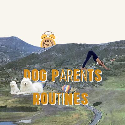 I created a routine for a week as if I had a dog