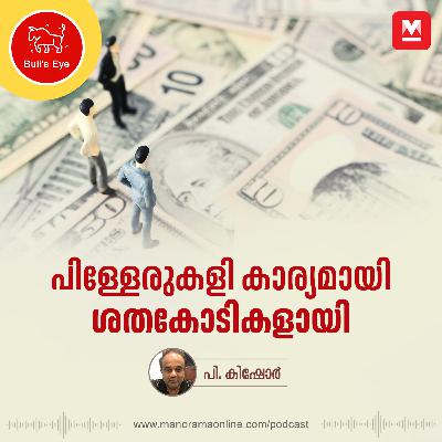 പിള്ളേരുകളി കാര്യമായി, ശതകോടികളായി | Billionaires | Business Podcast | Bulls Eye