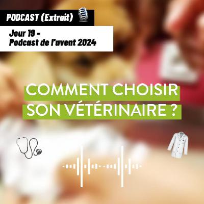 JOUR 19 - Comment bien choisir son vétérinaire ? [Podcast de l'avent 🎄]