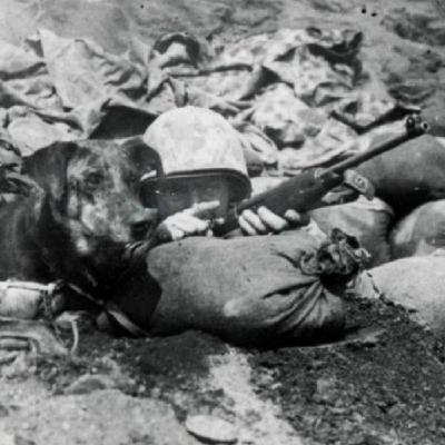 VOLANDO BAJO ESPECIAL SEGUNDA GUERRA MUNDIAL 2 PARTE