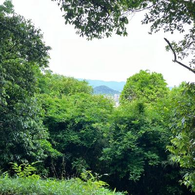 トーンチャイム トーンチャイム