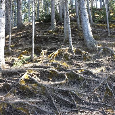 Times of 'self-protective silence'.