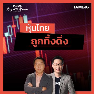 RN1,592 | หุ้นไทย ทองคำ bitcoin สินทรัพย์เสี่ยงทั้งโลกถูกทิ้งดิ่ง RN1,592 | หุ้นไทย ทองคำ bitcoin สินทรัพย์เสี่ยงทั้งโลกถูกทิ้งดิ่ง
