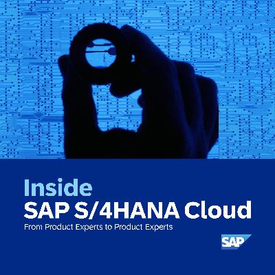 Episode 135: Digital Transformation in Manufacturing: Häfele Group's SAP Cloud ERP Journey | Feat. Steffen Sohns