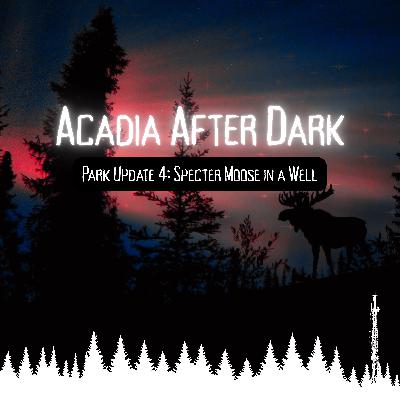 Acadia After Dark Park Update 4