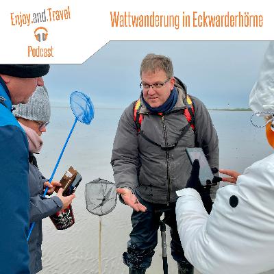 Folge 36 | Ganzjährige Wattwanderungen in Butjadingen: Das Wattenmeer ab Eckwarderhörne entdecken