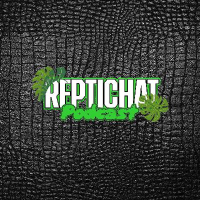 ReptiChat #EP 63 - We are going to MOROCCO!