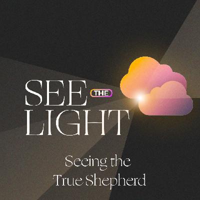 Seeing the True Shepherd [See the Light]