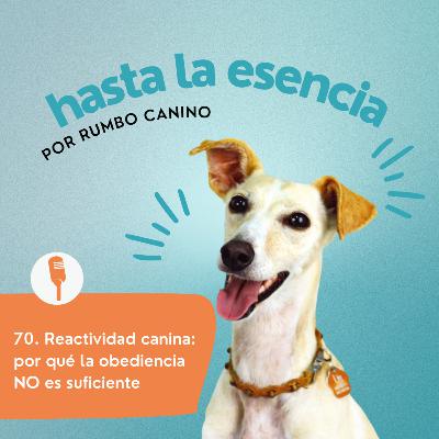 70. Reactividad canina: por qué la obediencia NO es suficiente