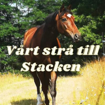 Avsnitt 4 Margareta Bendroth och tävling!