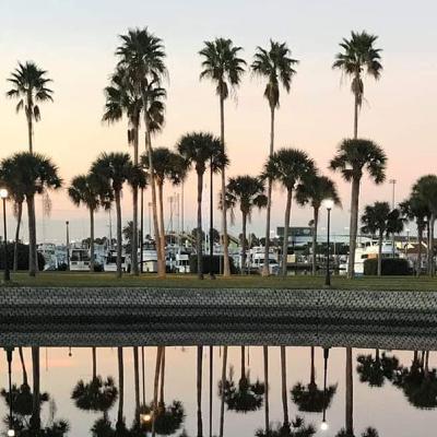 Introduction to the life and times of Richard Ottum/Captain obvious @just being me. 2019