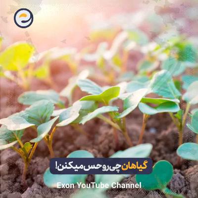 حس‌های حیرت انگیز گیاهان که هیچکس باور نمیکند!