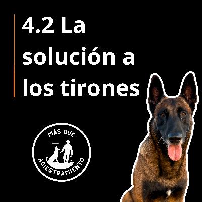 4.2 Logra un Paseo SIN tirones: 3 maniobras de calle que sí funcionan