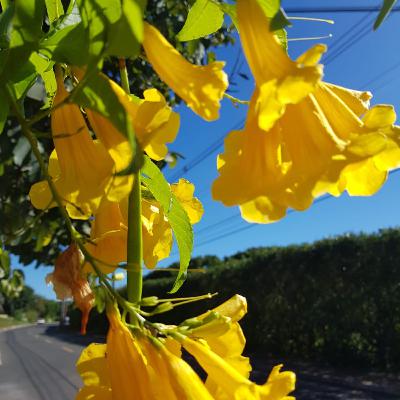 Coisas que Aprendi - Ep 9- A Criança Interior