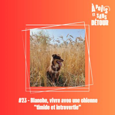 Ep 23 - Blanche, vivre avec une chienne “timide et introvertie”