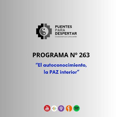 Programa Nro 263 de Puentes para Despertar, El Autoconocimiento y La Paz Interior