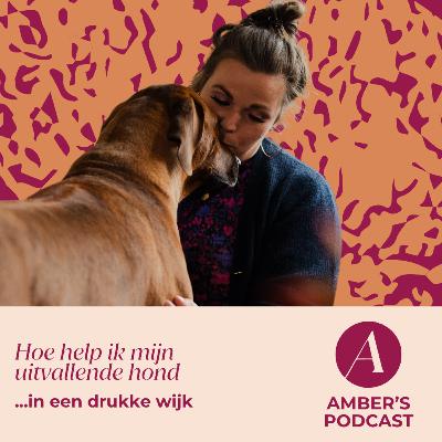 Hoe help ik mijn uitvallende hond in een drukke wijk? #163 Hoe help ik mijn uitvallende hond in een drukke wijk? #163