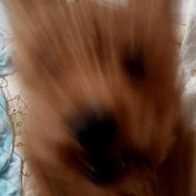 きくぞうの備忘録 0226