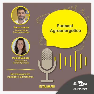 Biomassa para fins industriais e Biorrefinarias - Bruno Laviola e Mônica Damaso