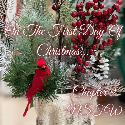 On The First Day Of Christmas... [A Drarry Podfic] Chapter 9 NSFW