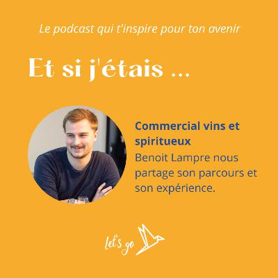 Et si j'étais commercial vins et spiritueux