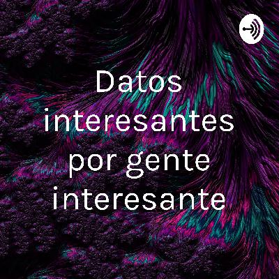 Animales que se drogan