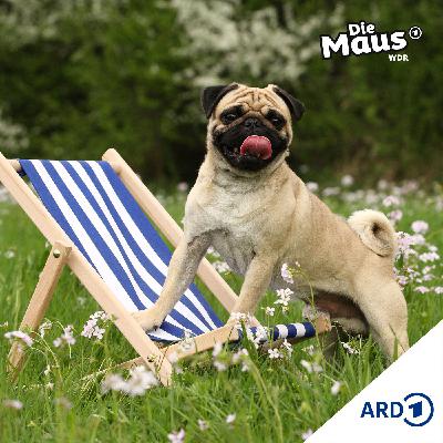 Mops