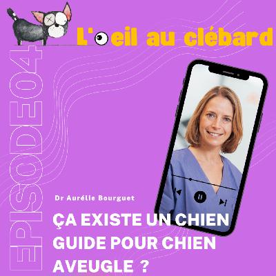 Ca existe un chien guide pour chien aveugle ? Ca existe un chien guide pour chien aveugle ?