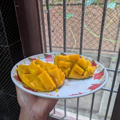 【#52🇹🇴🇳🇵マンゴーはあたしんだよぉ、by荒地の魔女】