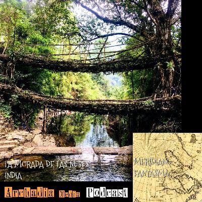 36 | La Morada de las Nubes, La India