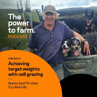 Episode 5: Achieving target weights with cell grazing