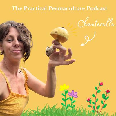 Snackin' Off the Beaten Path A Forager's Tale with Chanterelle